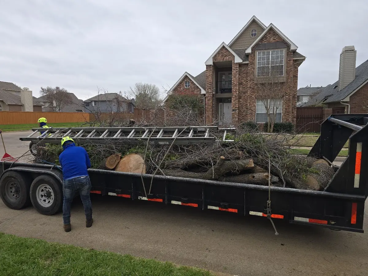 Expert Tree Fertilization with proper safety equipment in Hurst